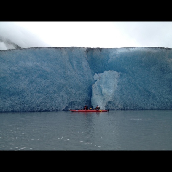 2000+ 5⭐️ REVIEWS - Picture 12 of 17